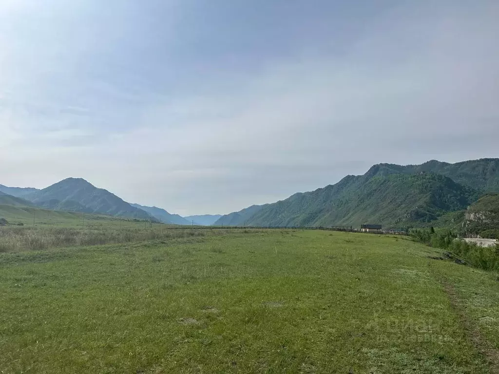 Участок в Алтай, Чемальский район, Куюсское с/пос  (7.5 сот.) - Фото 1