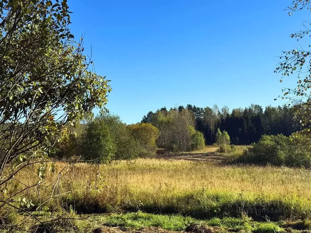 Участок в Московская область, Дмитровский муниципальный округ, Ерыково ... - Фото 1
