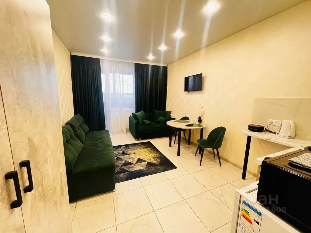 Студия Новосибирская область, Искитим Советская ул., 245/4 (25.0 м) - Фото 1