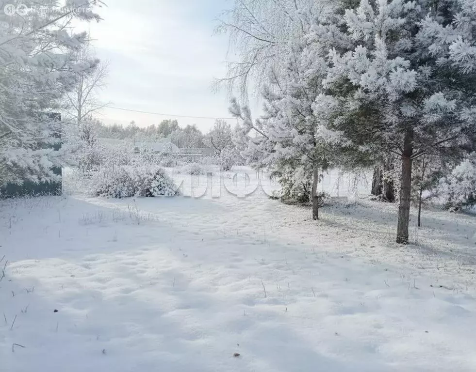 Участок в Колыванский район, садоводческое некоммерческое товарищество ... - Фото 2