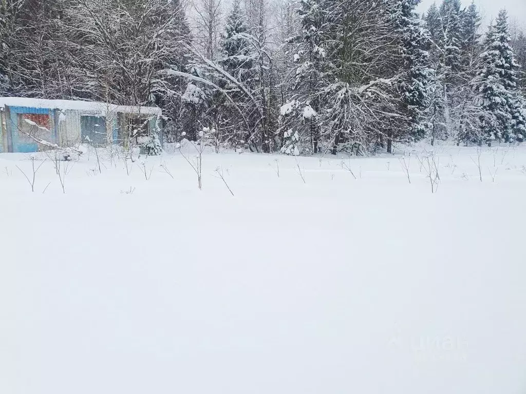 Участок в Московская область, Солнечногорск городской округ, д. ... - Фото 0