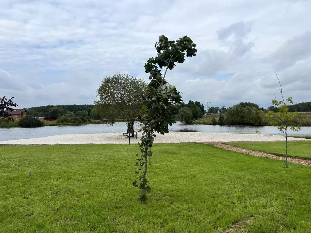 Участок, 8 сот., поселения (ижс) - Фото 2