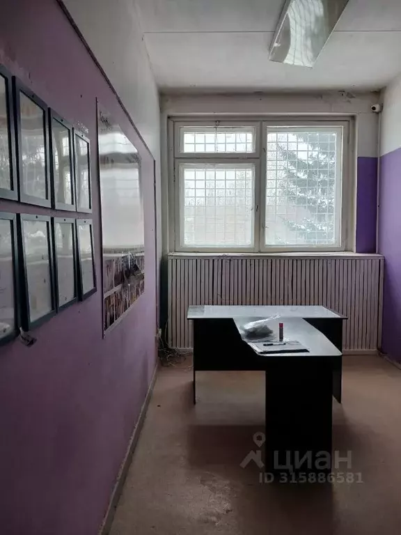 Помещение свободного назначения в Новосибирская область, Новосибирск ... - Фото 1
