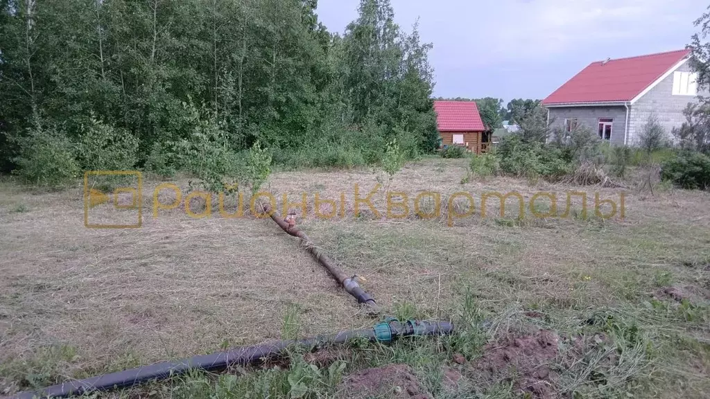 Участок в Новосибирская область, Новосибирский район, Морской ... - Фото 1