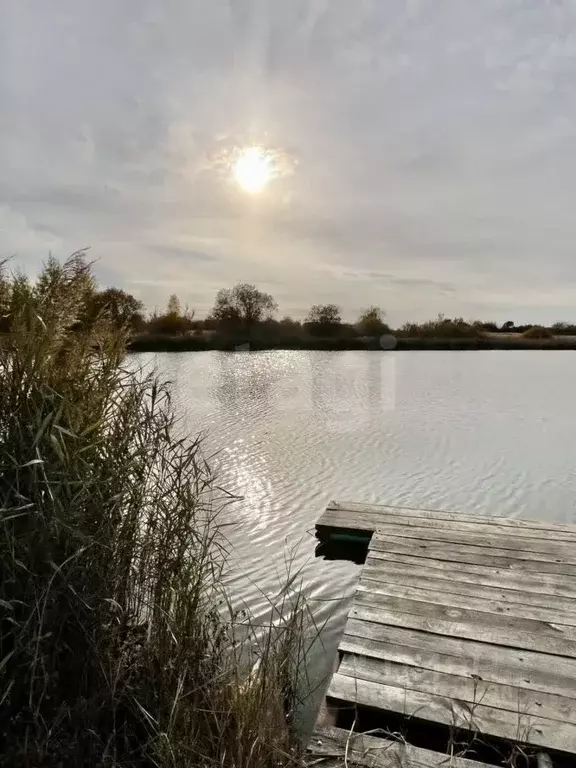 Участок в Мордовия, Саранск городской округ, пос. Озерный ул. Дачная ... - Фото 1