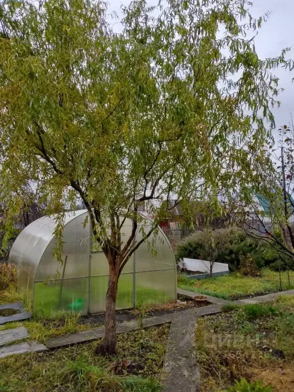 Дом в Самарская область, Ставропольский район, Узюково с/пос, ... - Фото 1