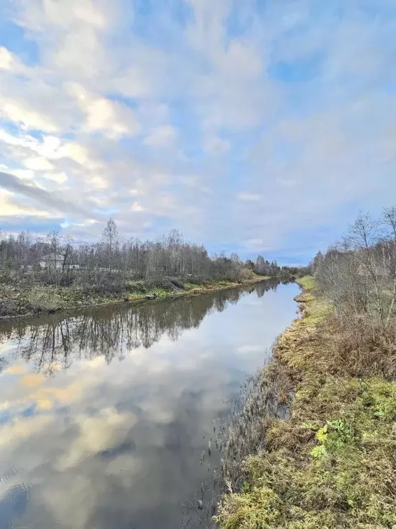 Участок в Тверская область, Калязинский муниципальный округ, д. ... - Фото 2