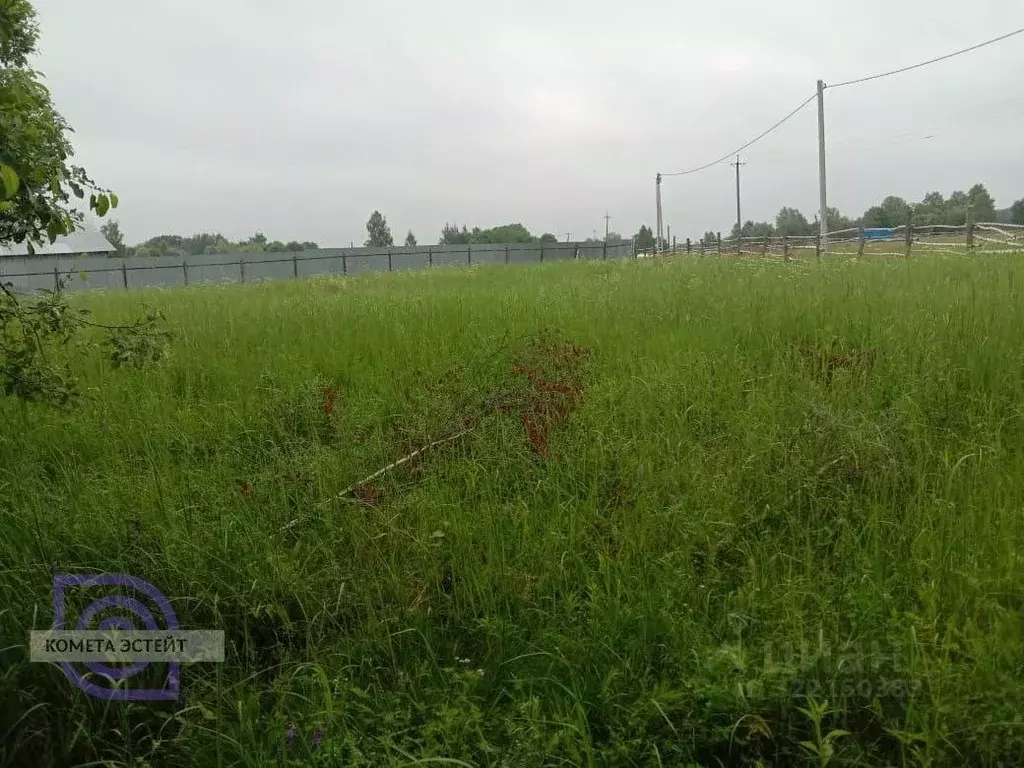 Участок в Калужская область, Тарусский муниципальный округ, Петрищево ... - Фото 1