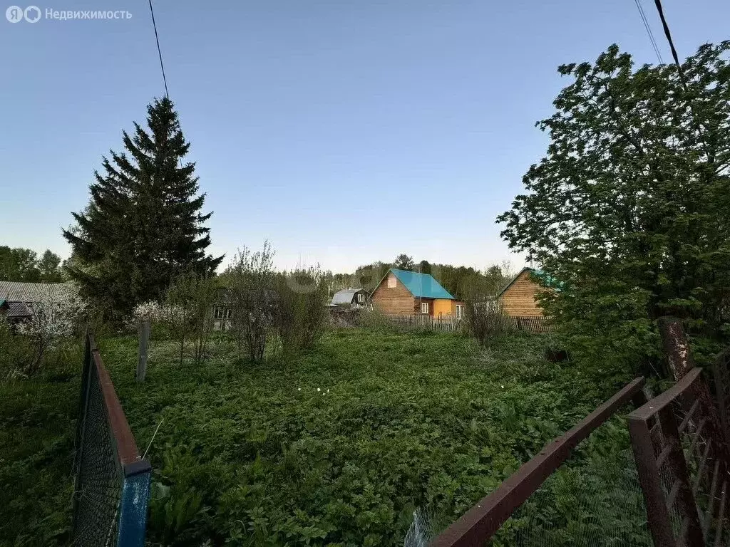 Участок в Новосибирск, СТ Банковец (6 м) - Фото 0