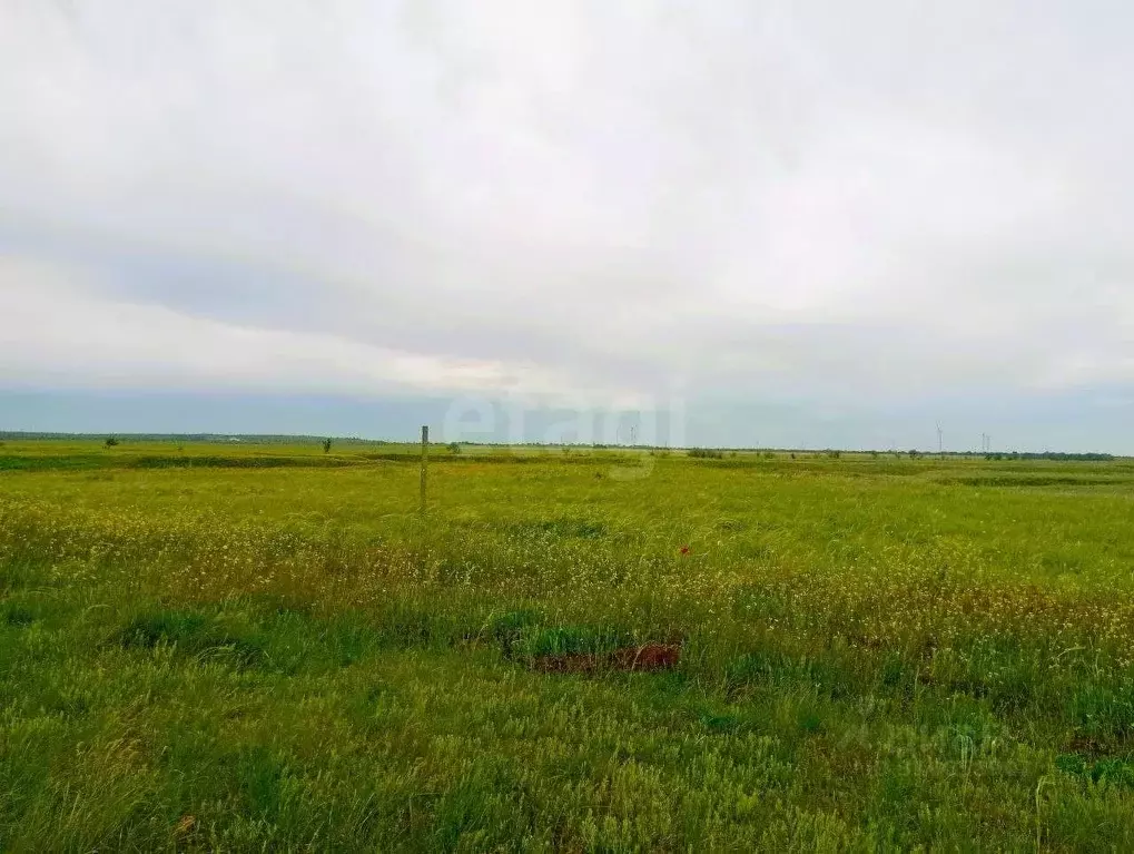 Участок в Крым, Ленинский район, с. Чистополье ул. Виноградная (9.0 ... - Фото 1