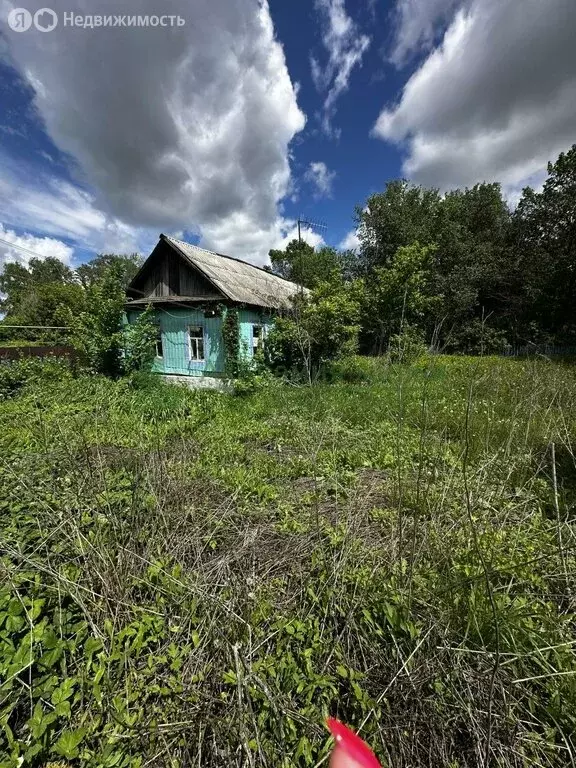 Участок в Саратовская область, Лысогорское муниципальное образование, ... - Фото 0