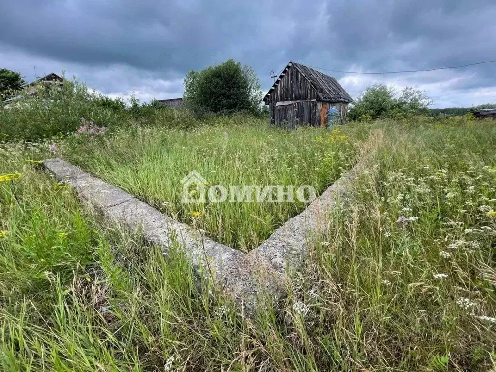 Участок в Тюменская область, Нижнетавдинский район, с. Канаш Новая ул. ... - Фото 0