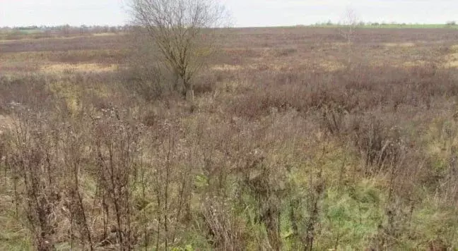 Участок в Московская область, Коломна городской округ, д. Сычево  ... - Фото 0