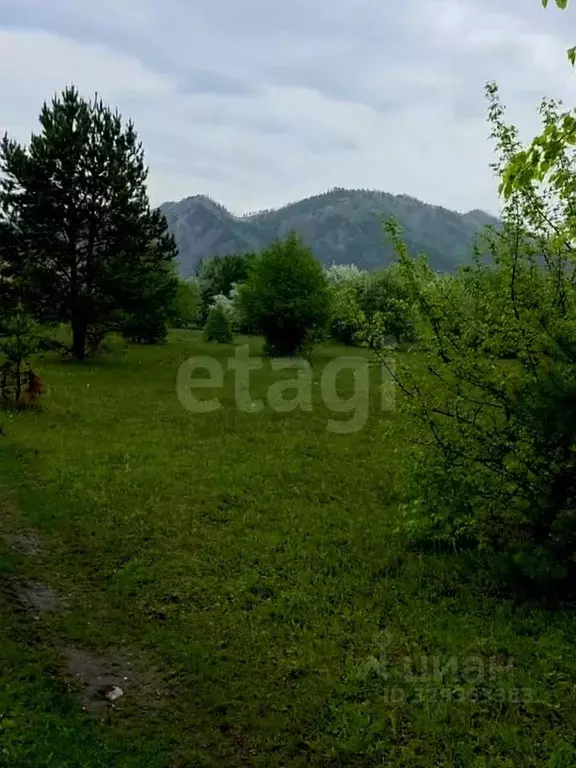 Участок в Алтай, Чемальский район, Узнезинское с/пос, с. Узнезя  (14.0 ... - Фото 1