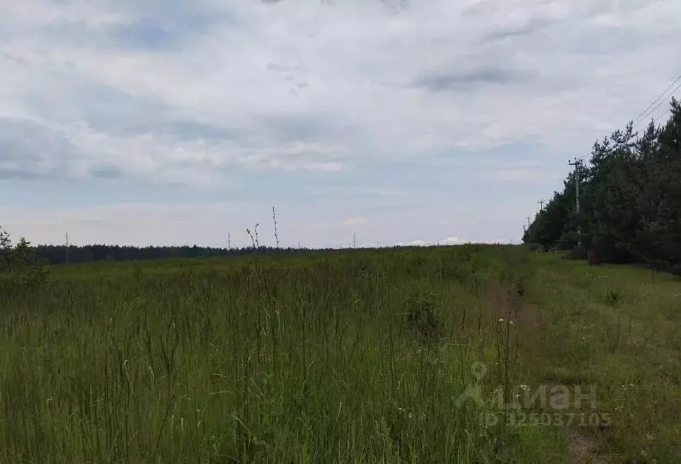 Участок в Московская область, Дмитровский муниципальный округ, д. ... - Фото 1