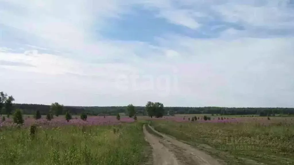 Участок в Свердловская область, Горноуральский муниципальный округ, д. ... - Фото 1