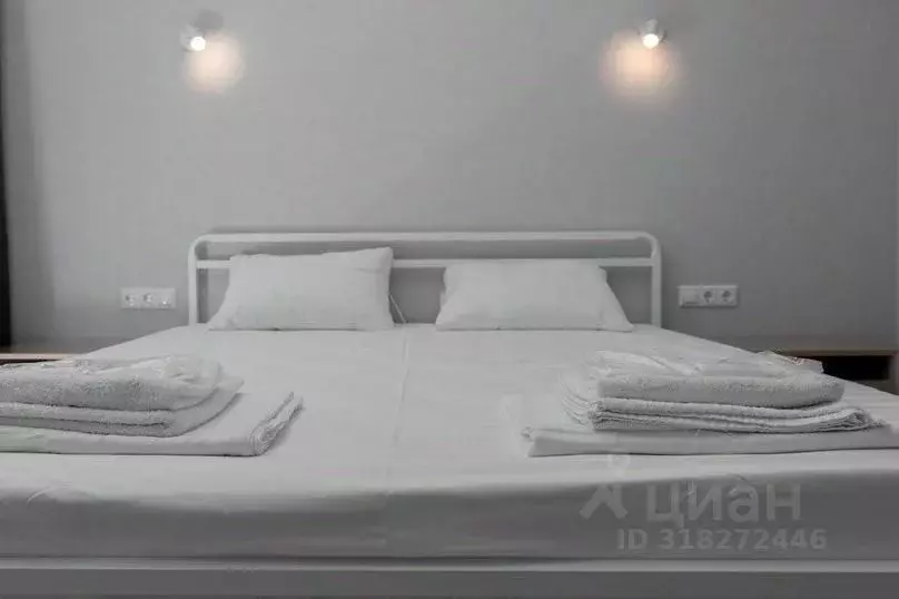 1-к кв. Краснодарский край, Сириус пгт ул. Щирова, 34 (60.0 м) - Фото 0