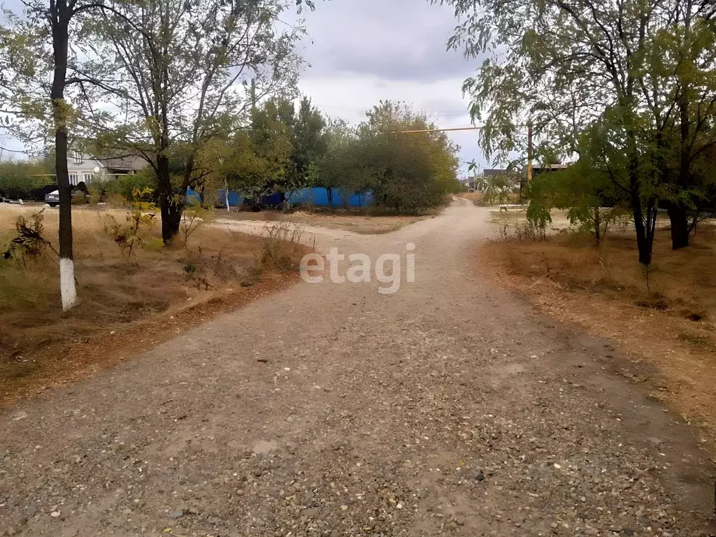 Участок в Краснодарский край, Тихорецкий район, Новорождественское ... - Фото 0