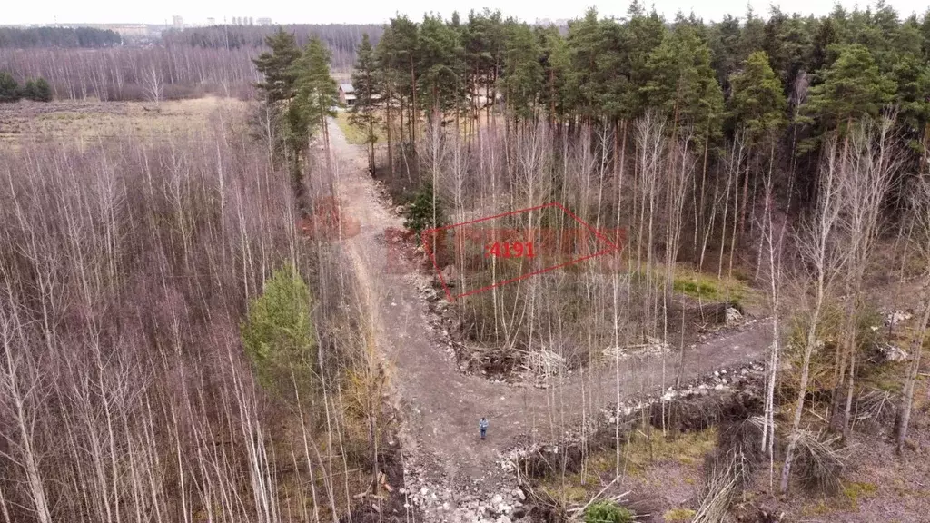 Участок в Московская область, Богородский городской округ, д. Пешково  ... - Фото 1