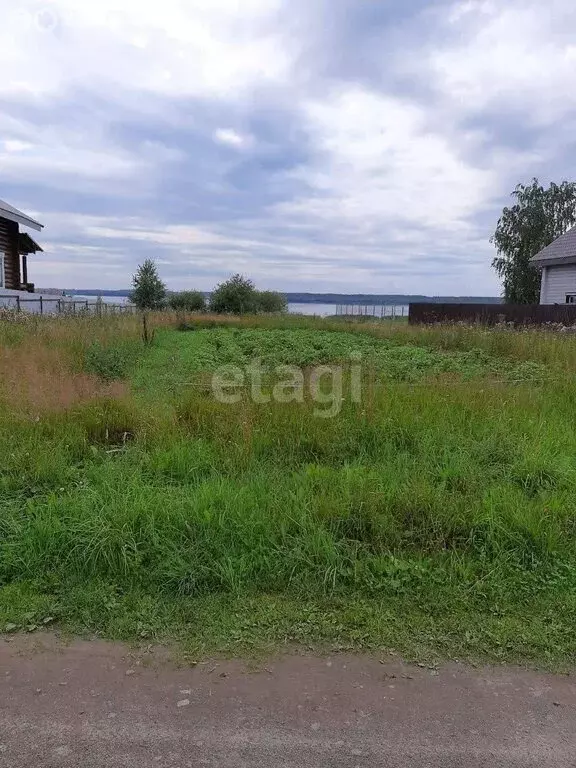 Участок в Вологодская область, Кирилловский муниципальный округ, ... - Фото 1