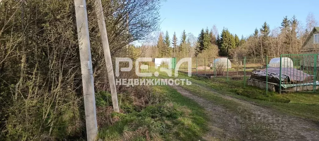 Участок в Ленинградская область, Гатчинский район, Пролетарский Труд ... - Фото 0