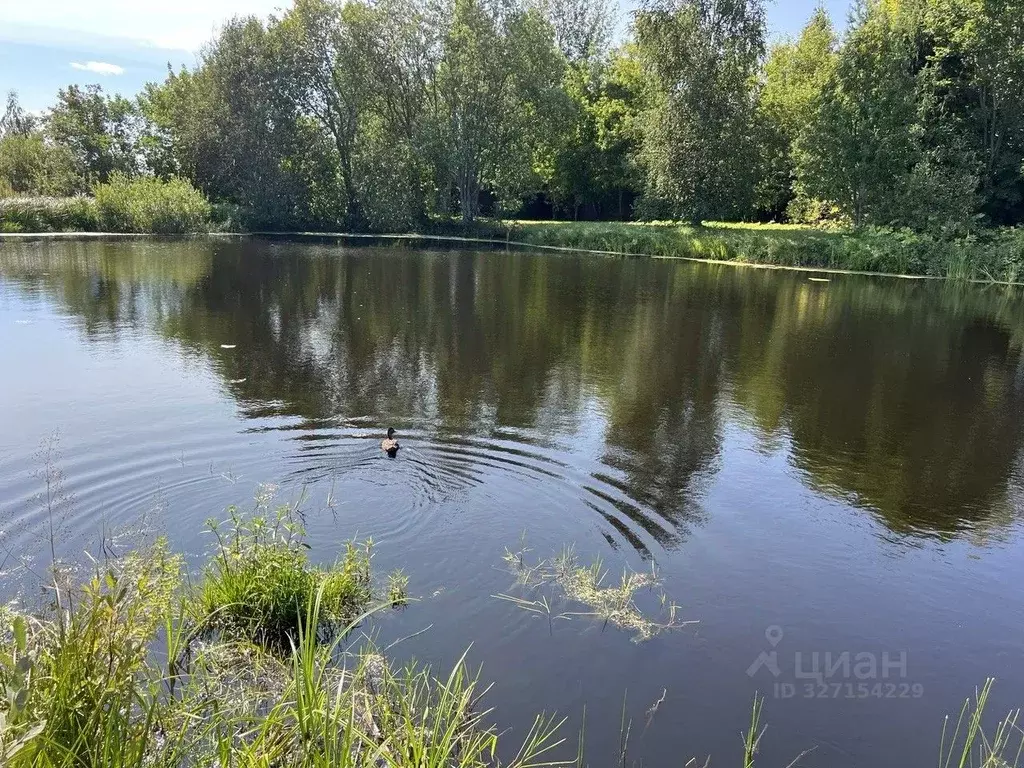 Участок в Московская область, Истра муниципальный округ, с. Онуфриево ... - Фото 1