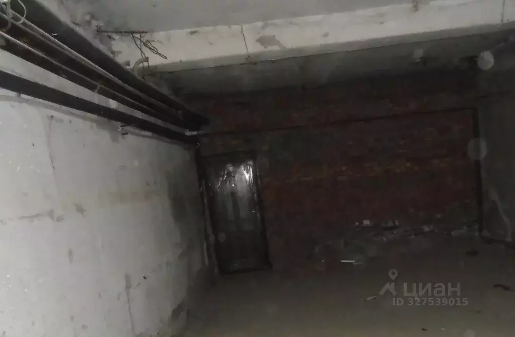 Помещение свободного назначения в Новосибирская область, Новосибирск ... - Фото 2