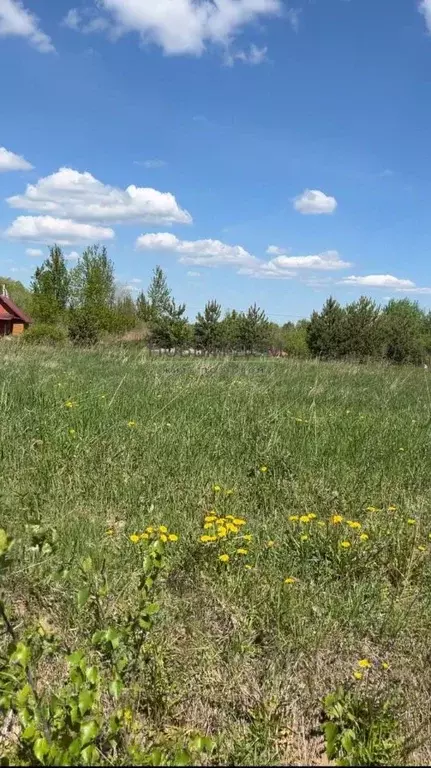 Участок в Новгородская область, Новгородский район, Ракомское с/пос, ... - Фото 0