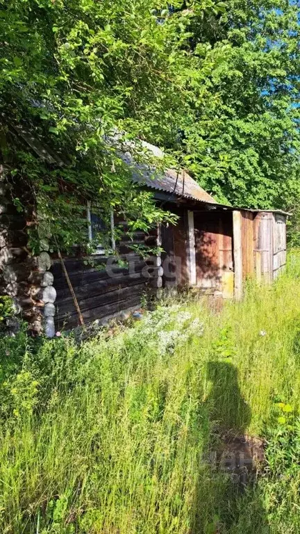 Дом в Свердловская область, Белоярский муниципальный округ, Березка КС ... - Фото 1