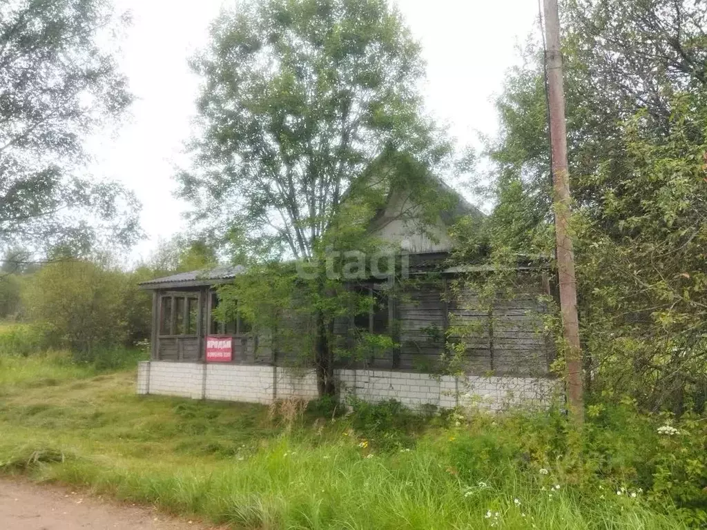 Дом в Смоленская область, Велижское городское поселение, д. Рябинка  ... - Фото 1