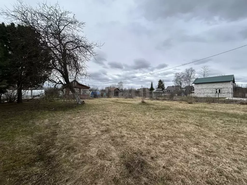 Участок в Костромская область, Кострома Судостроитель СНТ, 3/8 (5.2 ... - Фото 1