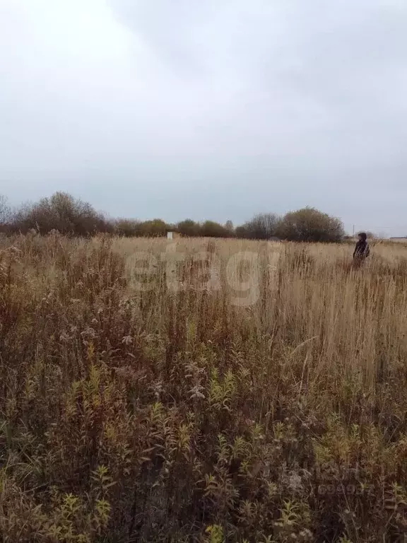 Участок в Мордовия, Саранск городской округ, пос. Пушкино  (15.0 сот.) - Фото 0