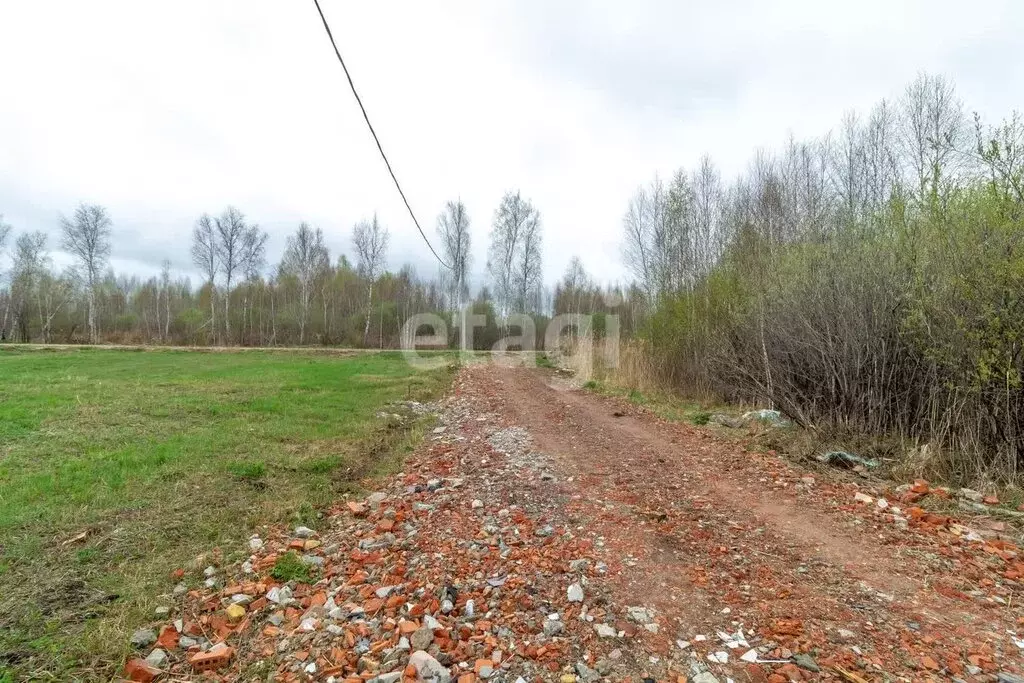Участок в Тюменская область, Нижнетавдинский муниципальный округ, ТСН ... - Фото 2