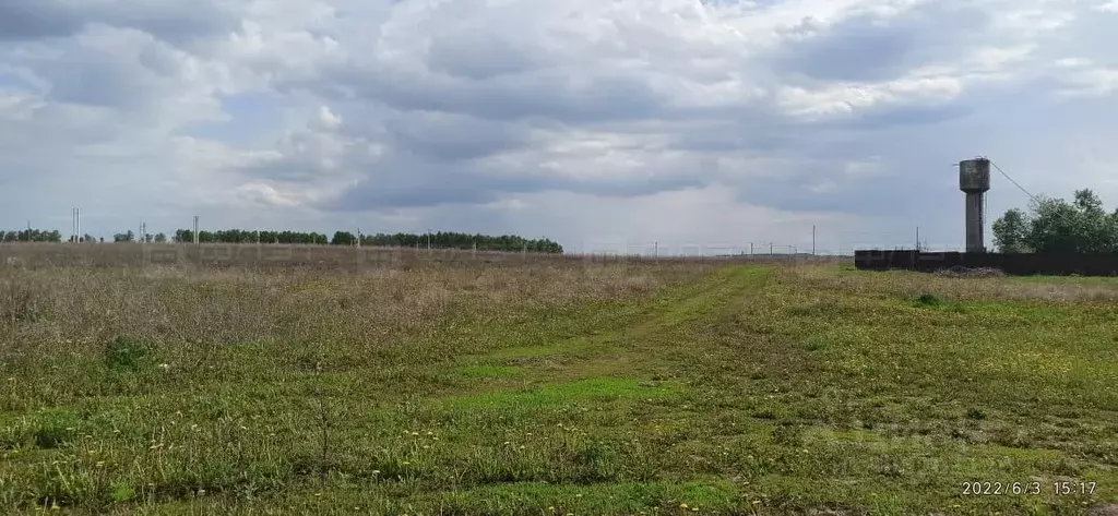 Участок в Татарстан, Высокогорское с/пос, с. Пановка  (7.0 сот.) - Фото 1