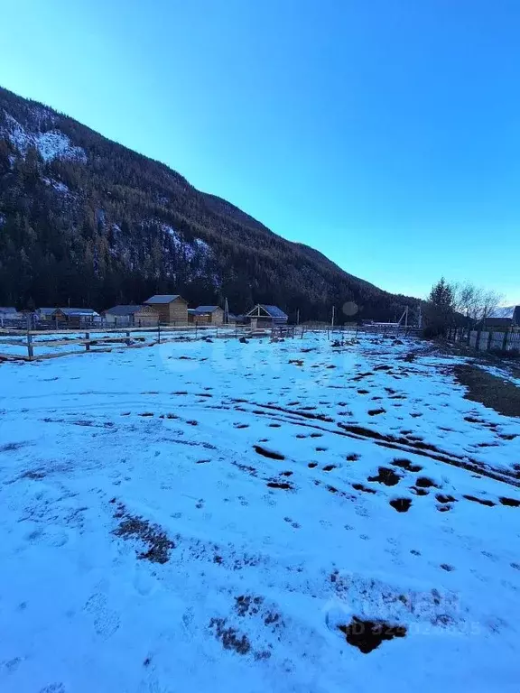 Участок в Алтай, Улаганский район, с. Акташ Лесная ул., 24Е (9.64 ... - Фото 1
