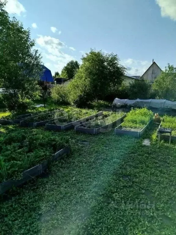 Дом в Тюменская область, Тюменский муниципальный округ, Собственников ... - Фото 1