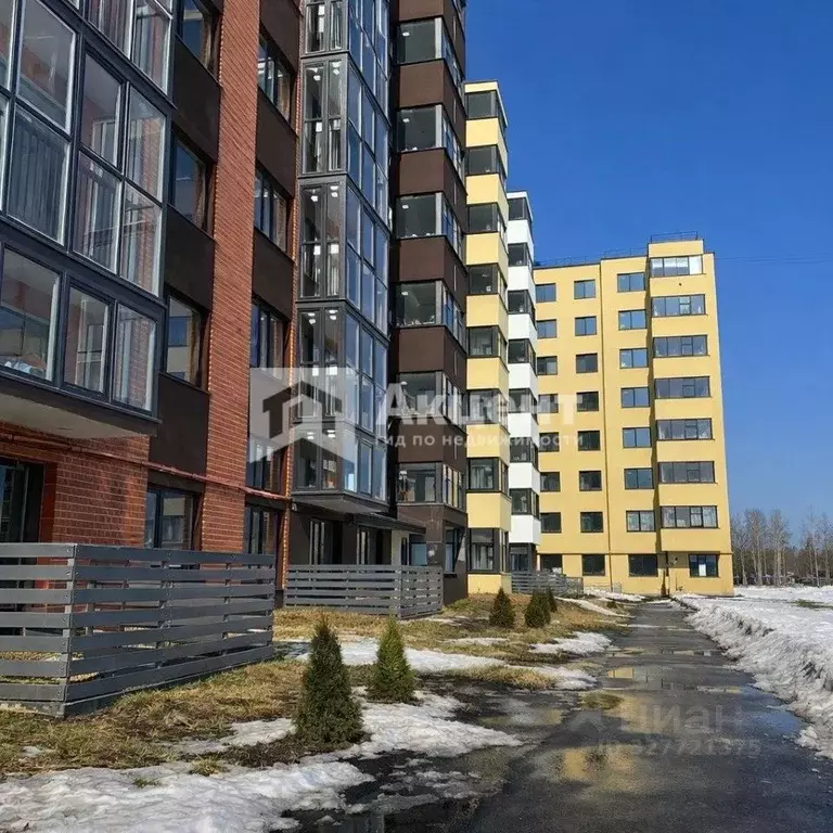 1-к кв. Ивановская область, Ивановский муниципальный округ, д. ... - Фото 1