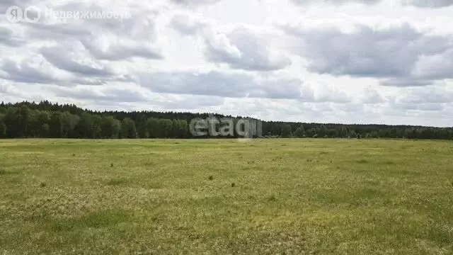 Участок в Усть-Ницинское сельское поселение, деревня Ермолина, улица ... - Фото 1