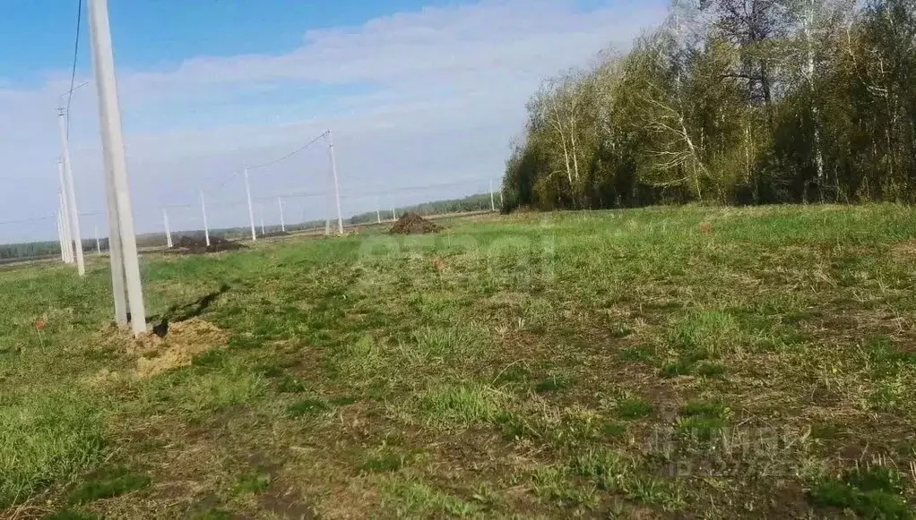 Участок в Тюменская область, Тюменский муниципальный округ, Каменское ... - Фото 1