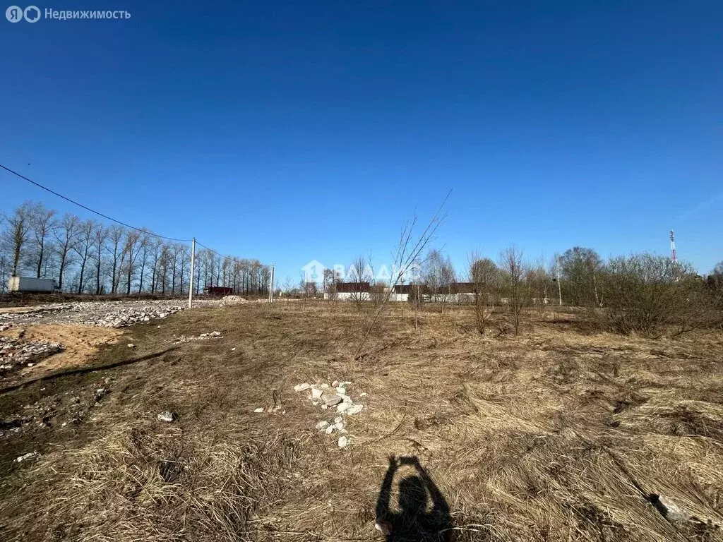 Участок в Владимирская область, Суздальский муниципальный округ, село ... - Фото 1