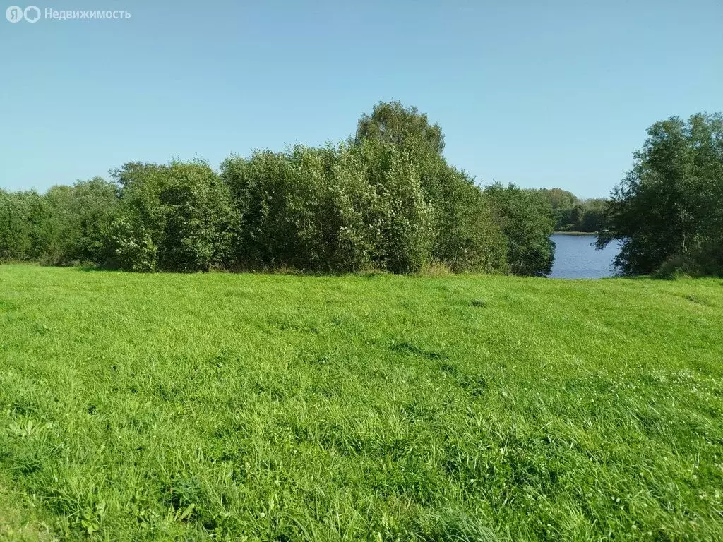 Участок в Великолукский район, Пореченская волость, деревня Комша, ... - Фото 1