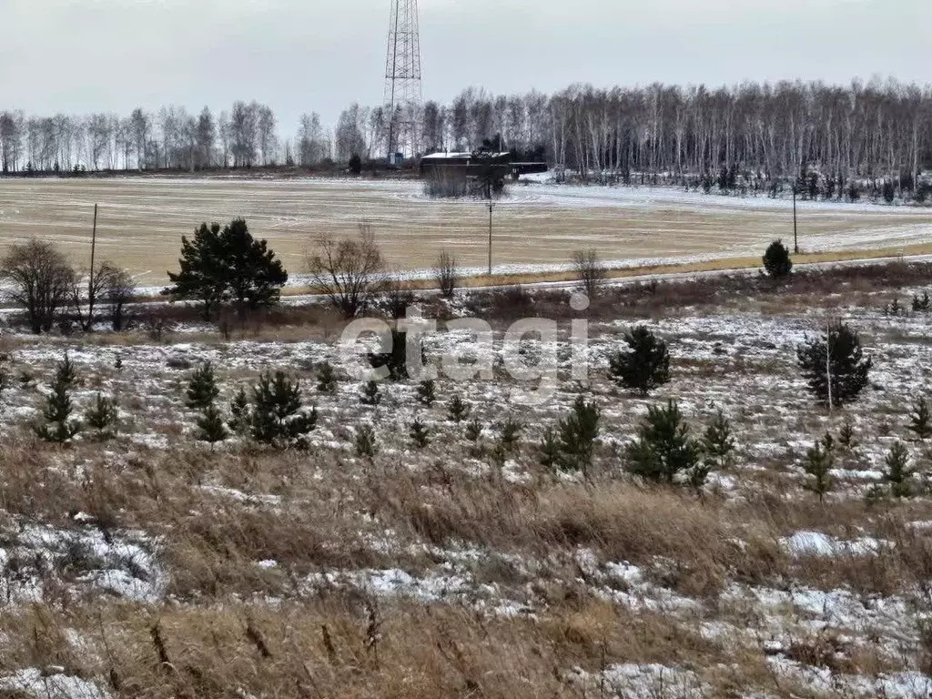 Участок в Красноярский край, Емельяново городское поселение, ... - Фото 1