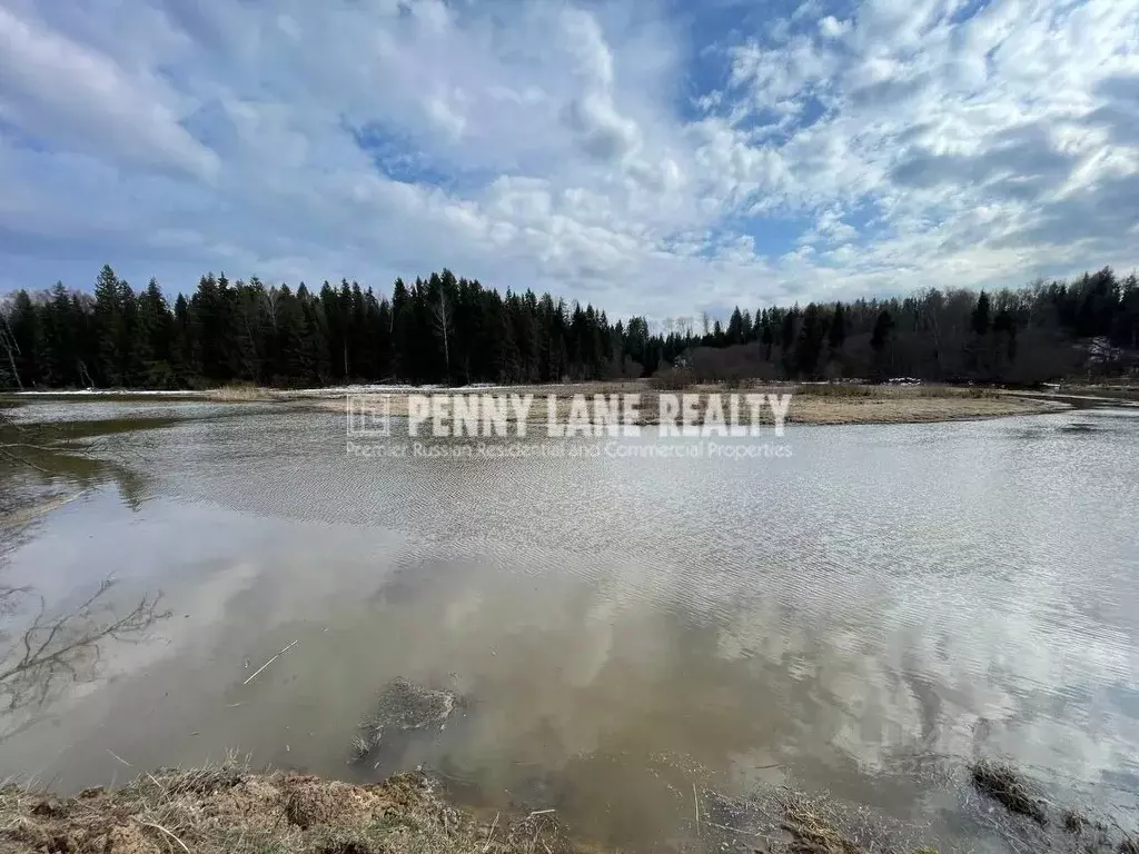 Участок в Московская область, Клин городской округ, д. Щекино  (700.0 ... - Фото 0