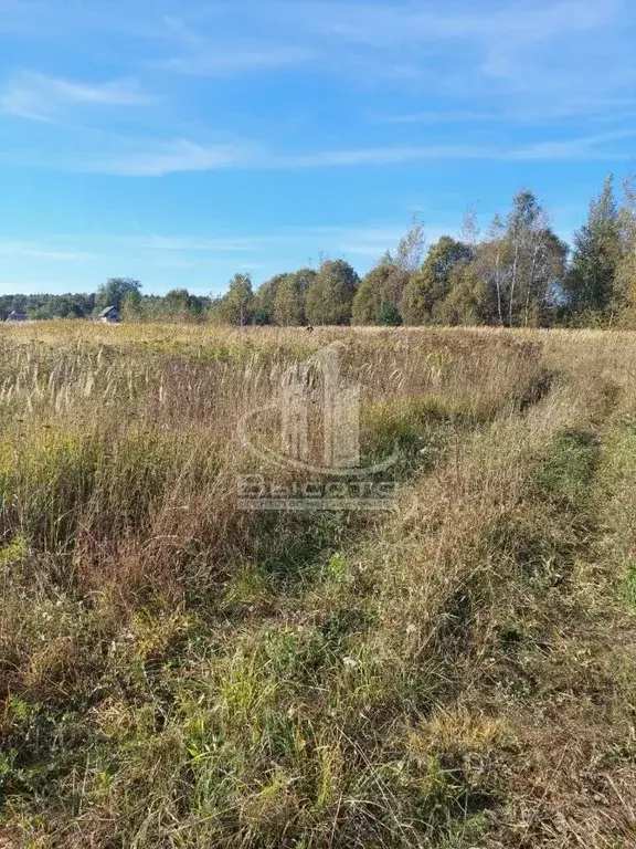 Участок в Калужская область, Дзержинский муниципальный округ, Дворцы ... - Фото 2