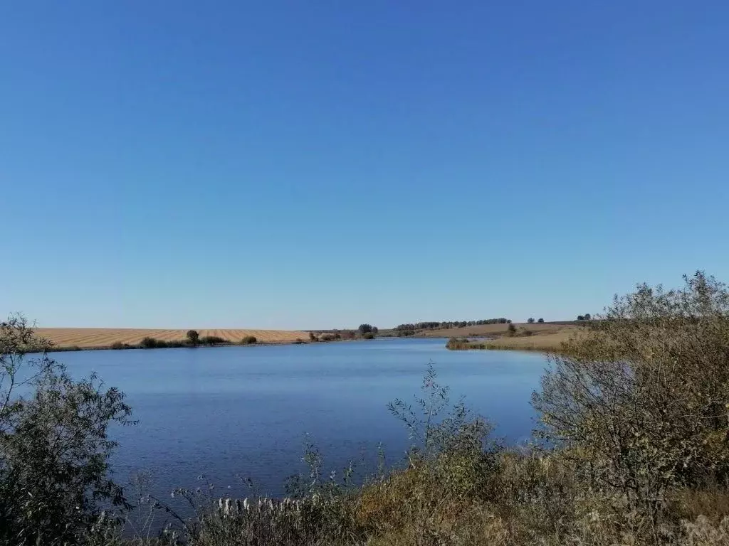 Участок в Пензенская область, Мокшанский район, с. Успенское  (35.0 ... - Фото 1