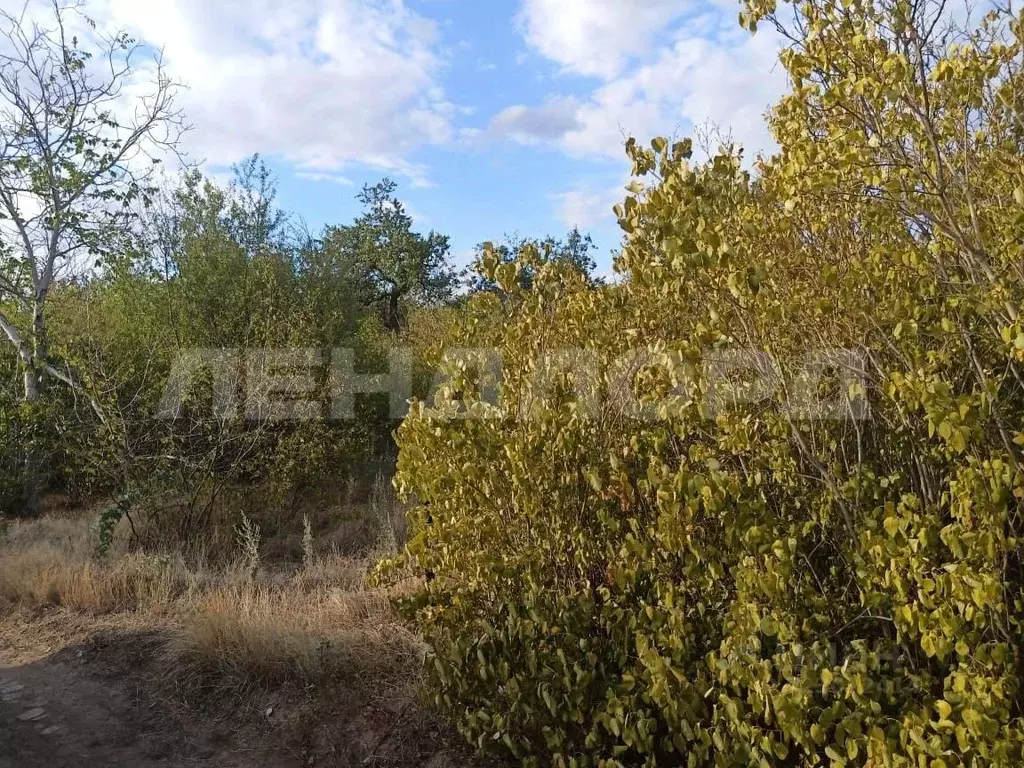 Участок в Ростовская область, Новочеркасск № 16 садовое товарищество, ... - Фото 2