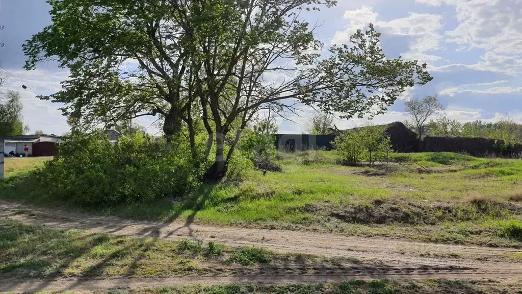 Участок в Белгородская область, Старооскольский городской округ, с. ... - Фото 1