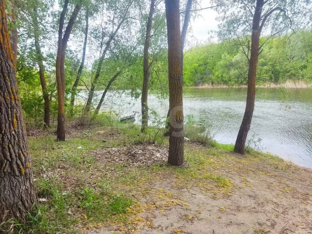 Участок в Воронежская область, Поворинский район, с. Пески Хоперская ... - Фото 1