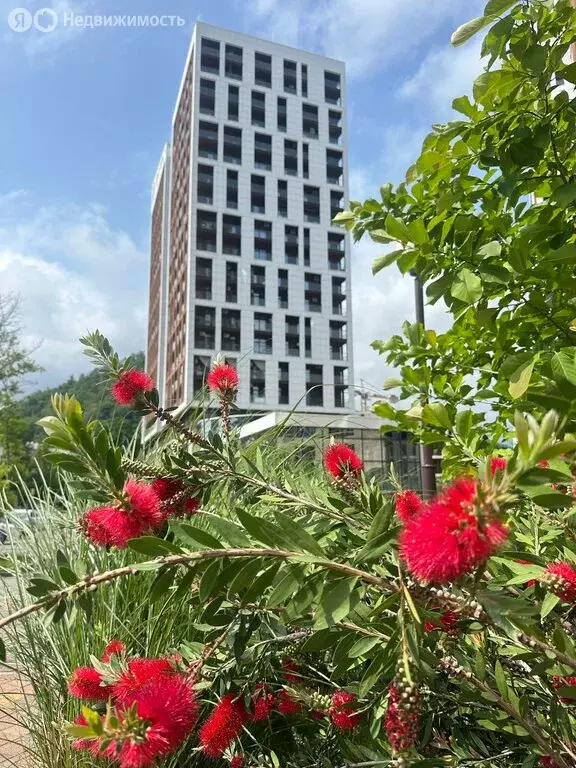 2-комнатная квартира: посёлок городского типа Дагомыс, Батумское ... - Фото 1