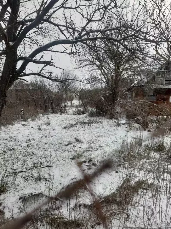 Участок в Ростовская область, Мясниковский район, Большесальское ... - Фото 1